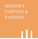 �������ӽŷ��͸�